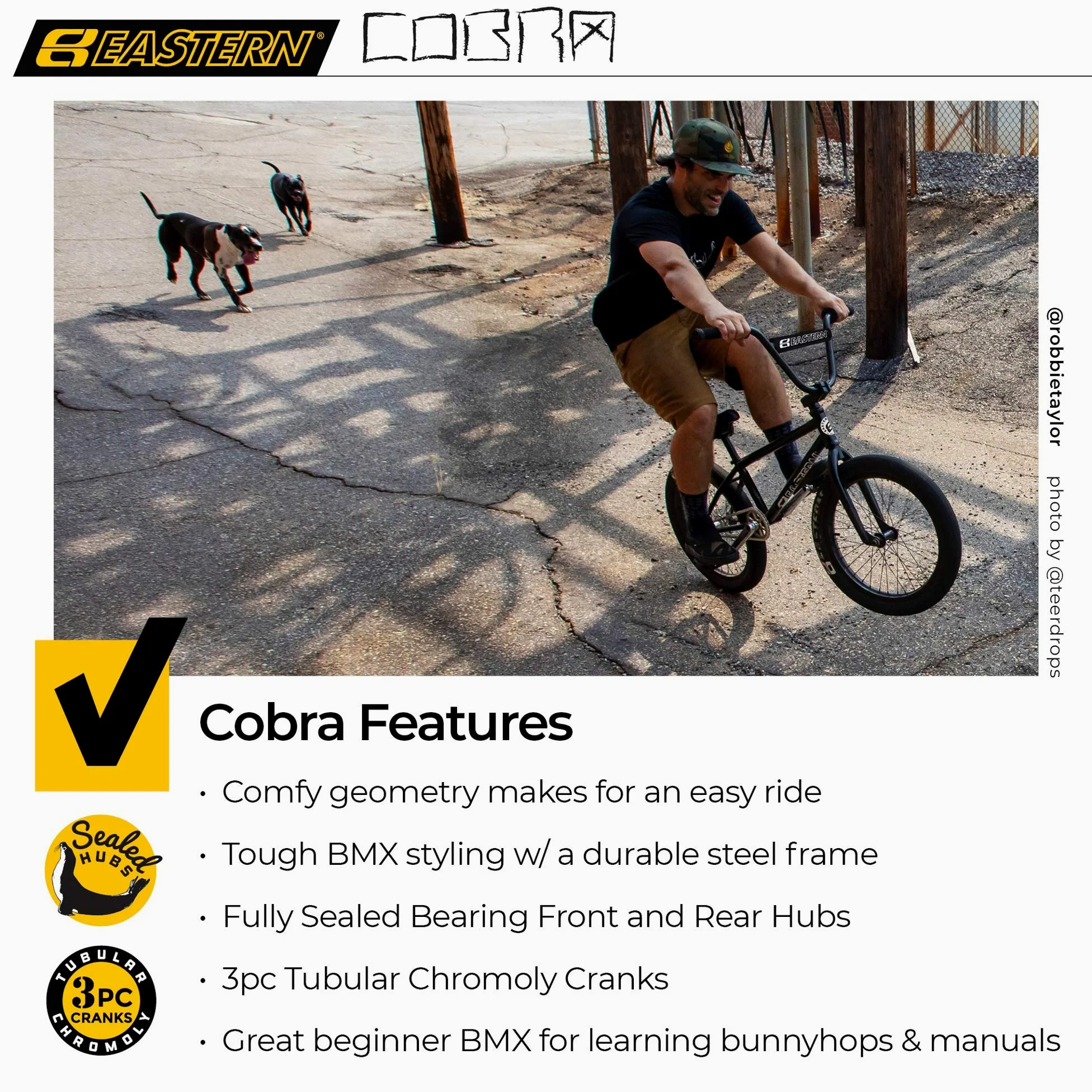 Eastern Bikes Cobra 20-Inch BMX Bike - Leggera bici da freestyle per principianti e adolescenti, dai 13 anni in su, pedivelle Cromo a 3 pezzi, colori diversi per la strada, la città e il parco.