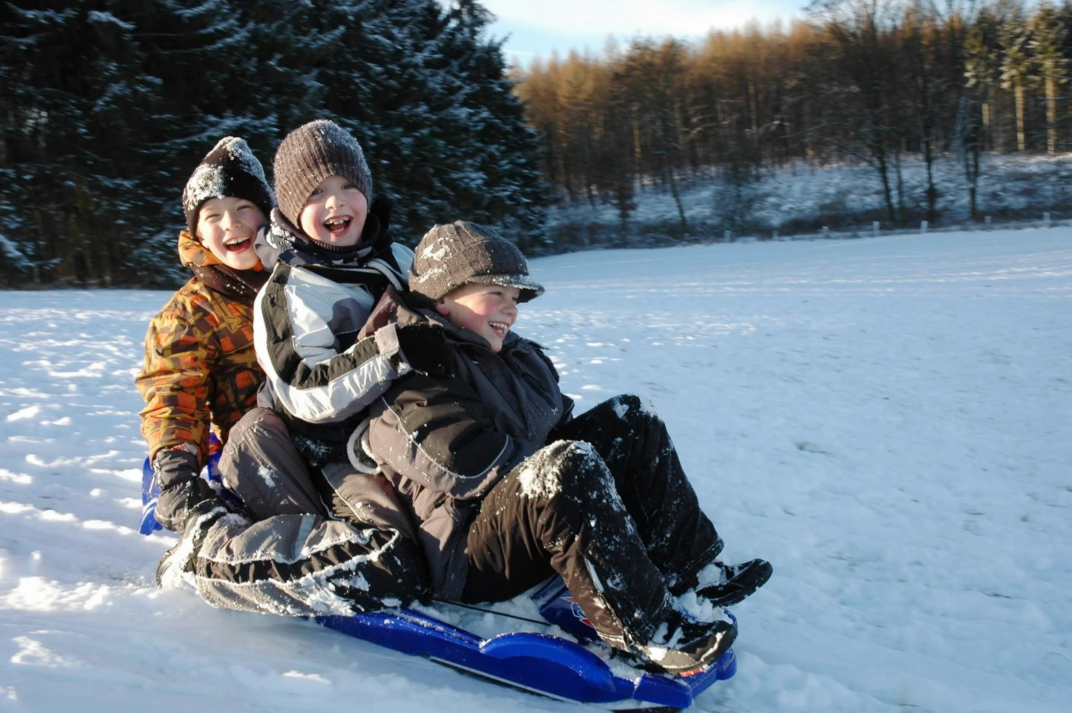 ALPENGAUDI Bob Alpen Double Race, Slitte da Neve Unisex Bambino, Rosso, Taglia Unica