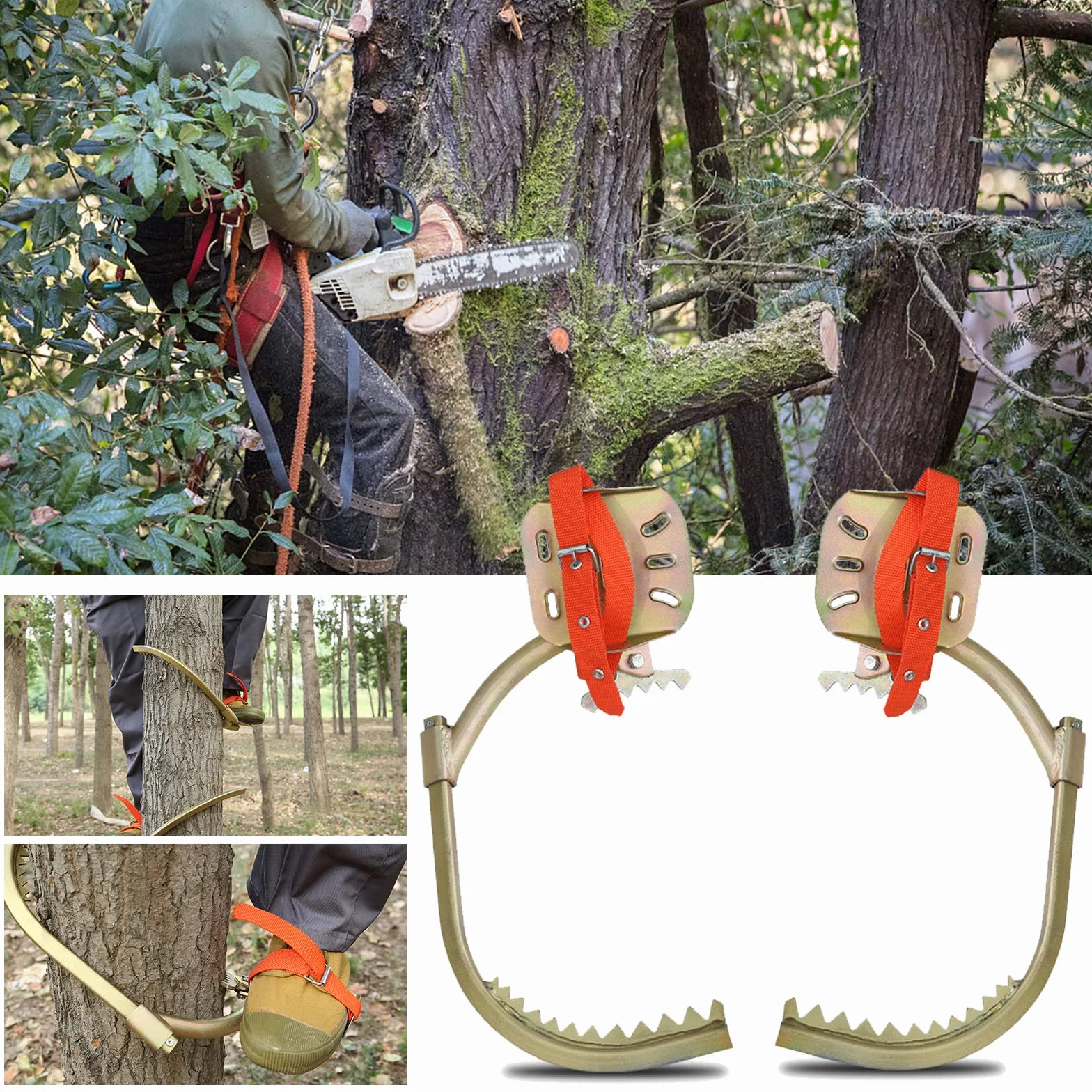 Punte per la cura degli alberi con cintura di sicurezza, ramponi forestali, ramponi per arrampicata sugli alberi, attrezzi per lavori elettrici, sport interni ed esterni