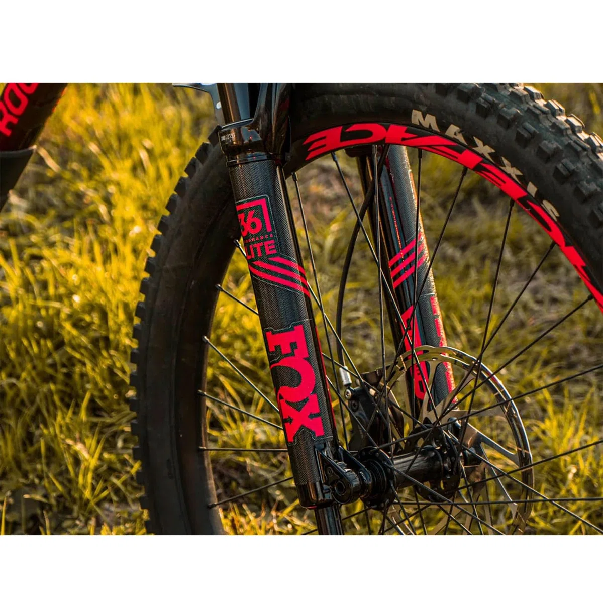 All Mountain Style AMS Paratelaio Basic ad alto impatto – protegge la tua bicicletta da graffi e ammaccature