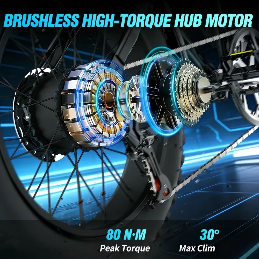 BK20 Bicicletta elettrica per adulti, 48V 20Ah, batteria rimovibile, autonomia 60-100 km, bicicletta elettrica 20 pollici, per tutti i terreni, doppia sospensione, 7 marce, doppio freno a disco