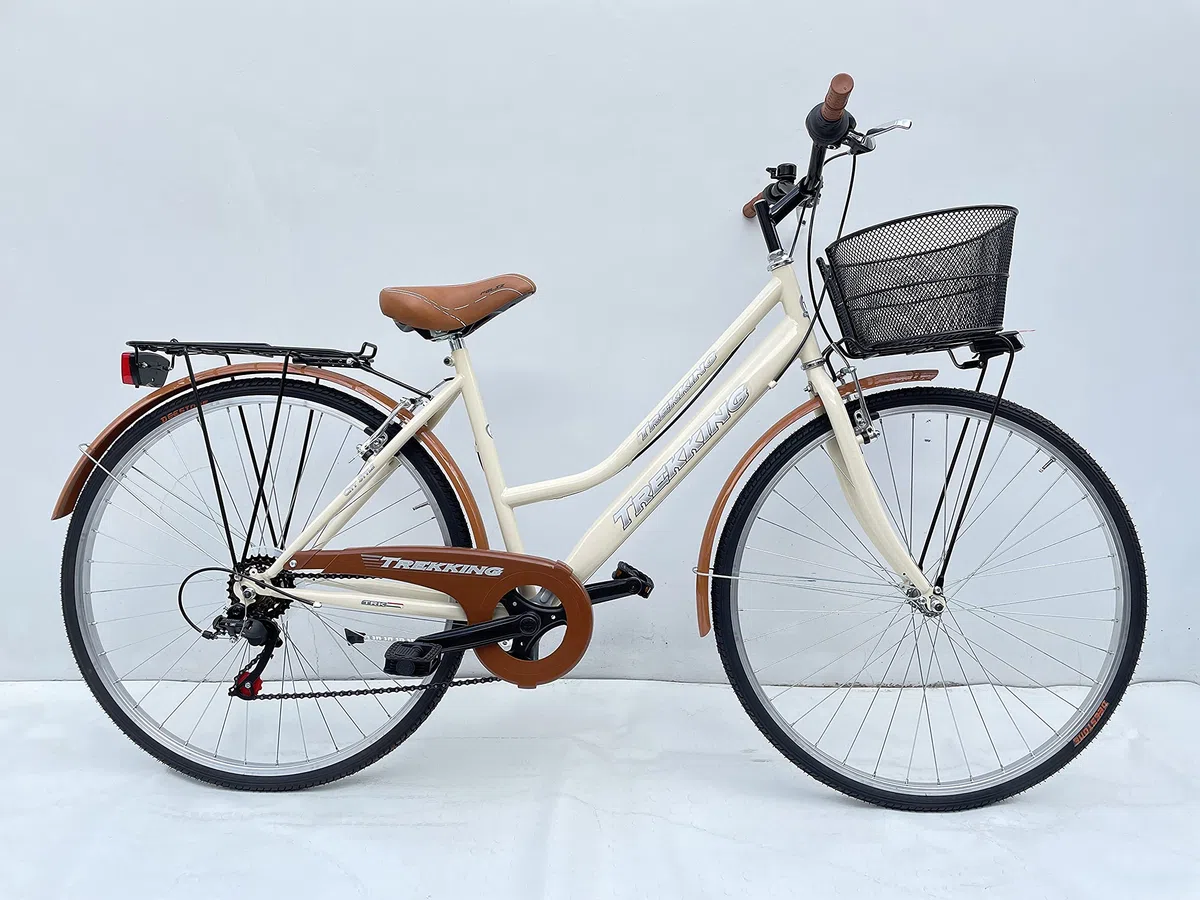 MADICKS Bicicletta Donna da Passeggio Olanda Misura 28 Bici da città Vintage retrò con Cestino Beige Con Cambio