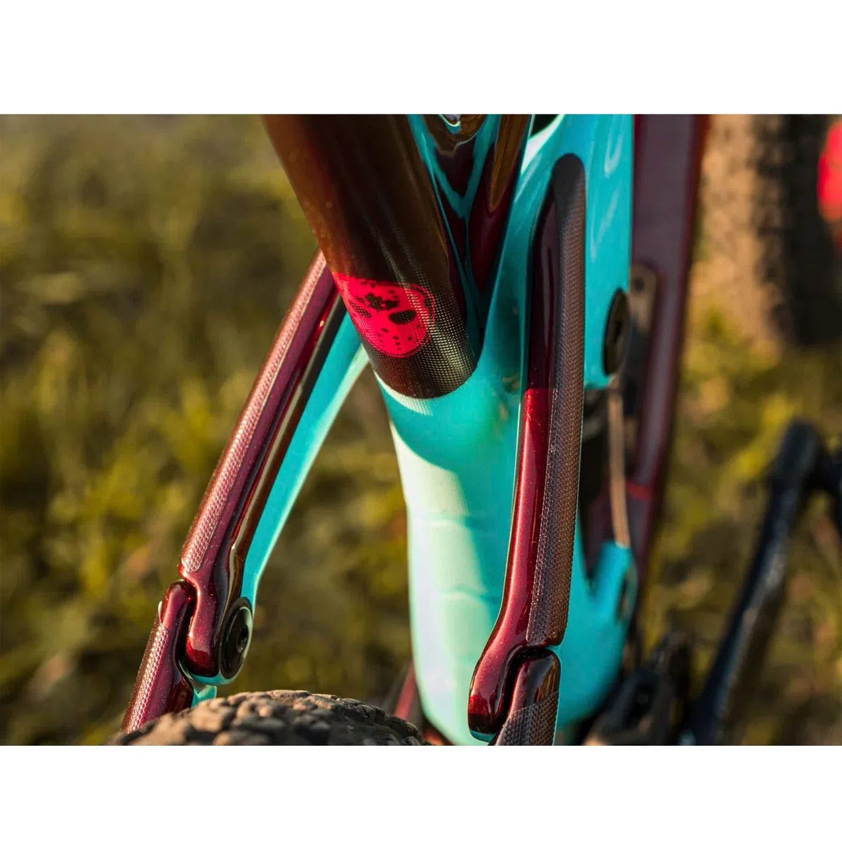All Mountain Style AMS Paratelaio Basic ad alto impatto – protegge la tua bicicletta da graffi e ammaccature