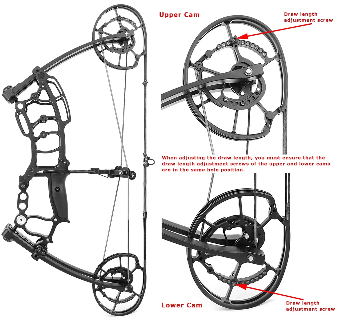 20" Arco Compound 40~65lbs Arco a Sfera in Acciaio,Utilizzare Frecce e Sfere in Acciaio,Arco da Caccia per Adulti per Tiro con L'Arco da Caccia RH & LH