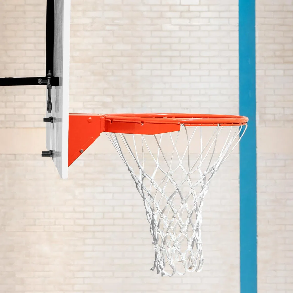 FORZA Canestro Da Basket Professionale - Da Montare A Muro | Anello Pallacanestro Per Interni Ed Esterni | Anello Flessibile Con Rete | Canestro Basket Con Piastra Per Montaggio Al Muro