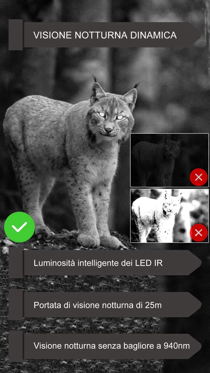 GardePro E6P Max Fotocamera da Caccia, WIFI, Batteria Ricaricabile da 8000mAh, Scheda SD Integrata, 64MP 1296P, Ampio Campo Visivo di 110°, Animali Movimento Attivato Visione Notturna Esterna