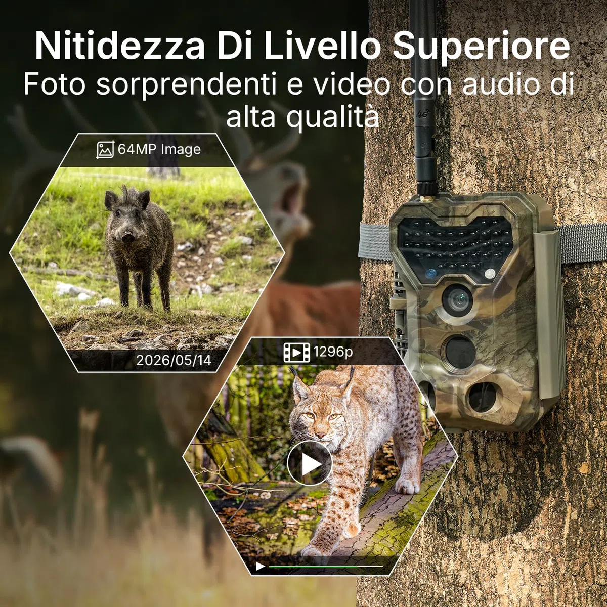 GardePro X70 Pro Fototrappola WiFi 4G LTE con Streaming Live e GPS, Batteria Ricaricabile da 7800 mAh, Scheda SD da 64 GB, 48MP 1296P Fototrappola Notturna, IP66 Foto Trappola per Animali