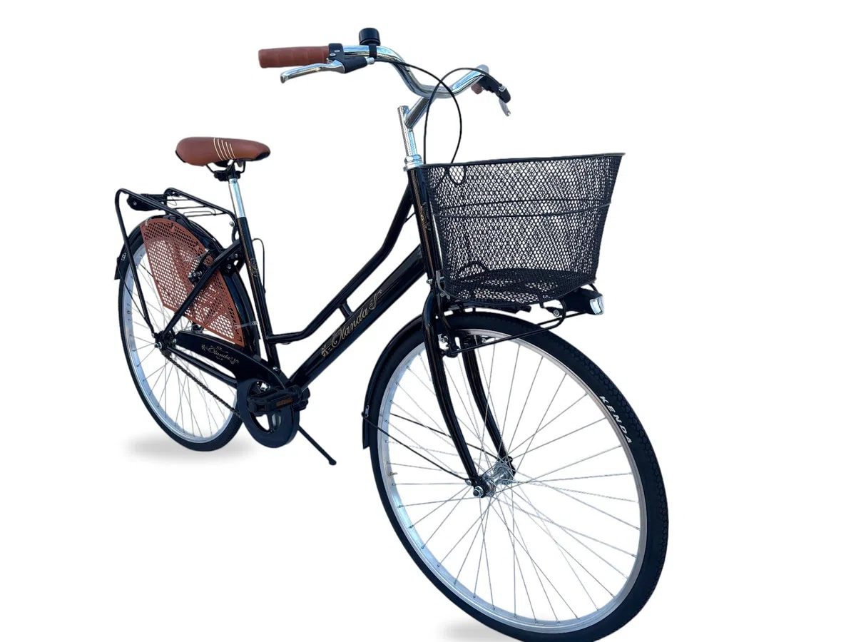 MADICKS Bicicletta Donna da Passeggio Olanda Misura 26 Bici da città Vintage retrò con Cestino anteriore e posteriore Nero