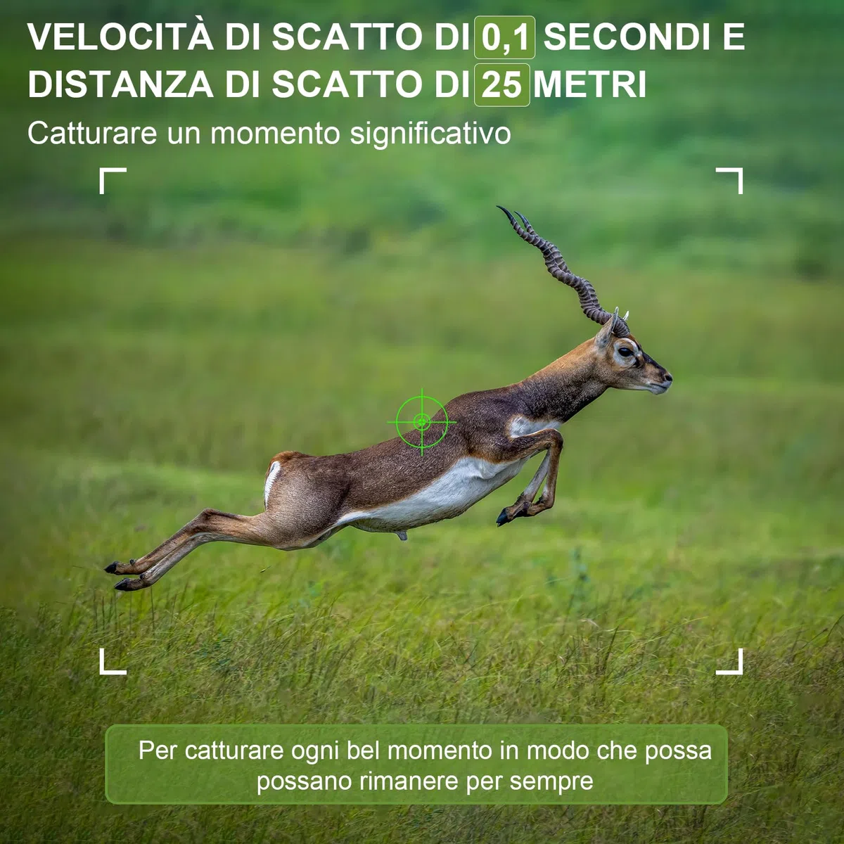 Fototrappola WiFi 4K 60MP con App, fototrappola Notturna con IR Visione 120° Ultra Grandangolo, Sensore di Movimento 0,1s Tempo di Attivazione, foto trappola per videosorveglianza con Antipolvere IP66