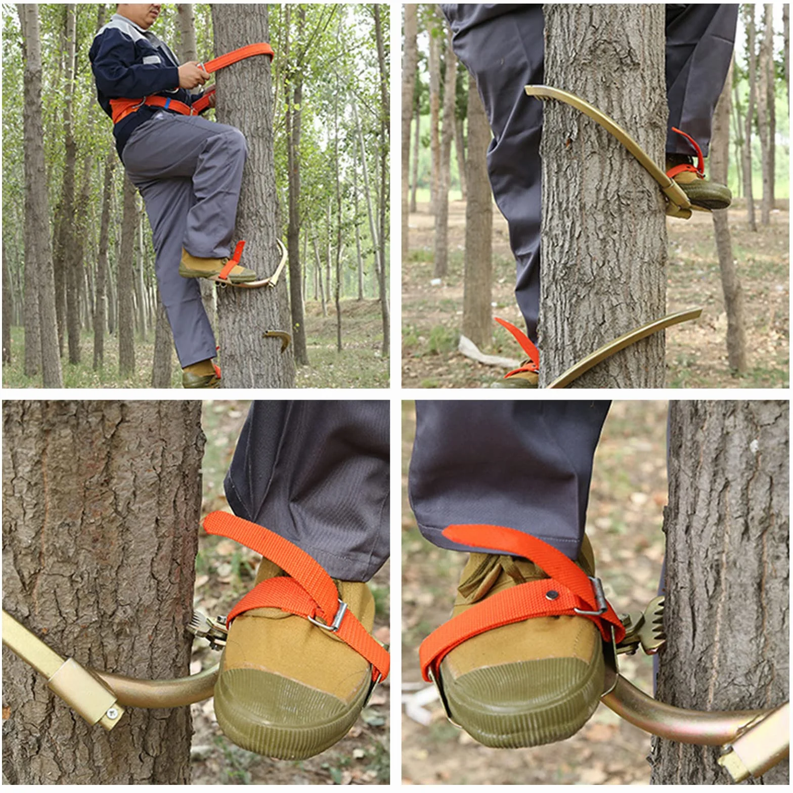 Punte per la cura degli alberi con cintura di sicurezza, ramponi forestali, ramponi per arrampicata sugli alberi, attrezzi per lavori elettrici, sport interni ed esterni