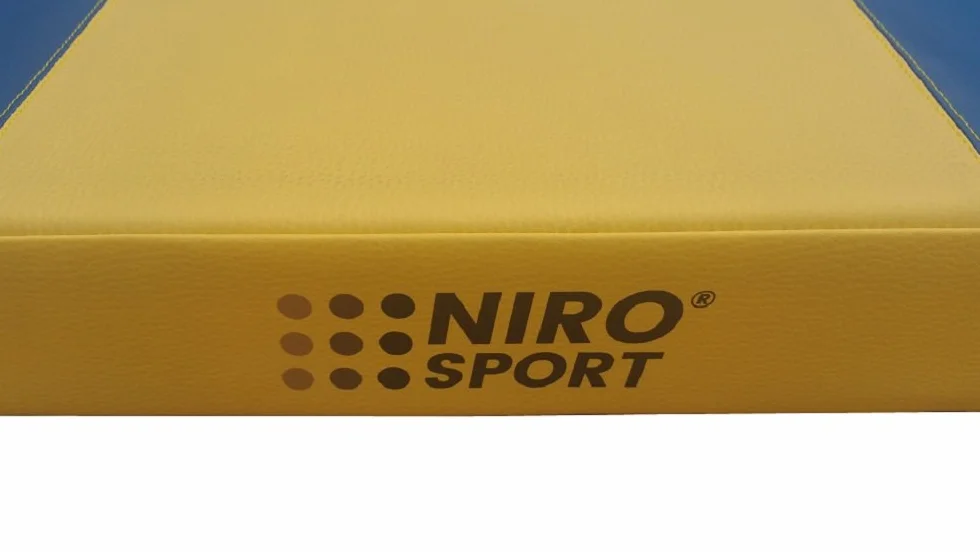 NiroSport Materassino di Caduta 200(150x100) x100x8 cm Tappetino da Ginnastica Tappetino Fitness Tappetino Sportivo Tappetino da Allenamento Tappetino Protettivo Tappetino da Ginnastica Impermeabile