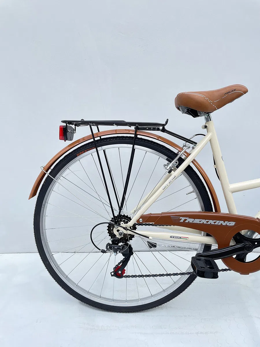 MADICKS Bicicletta Donna da Passeggio Olanda Misura 28 Bici da città Vintage retrò con Cestino Beige Con Cambio