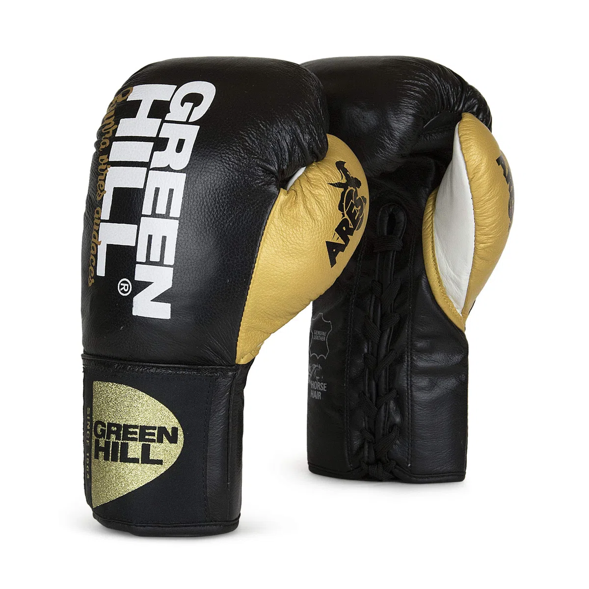 GUANTI DA BOXE PROFESSIONISTI ARES GREEN HILL GUANTONI CRINE LACCI PELLE