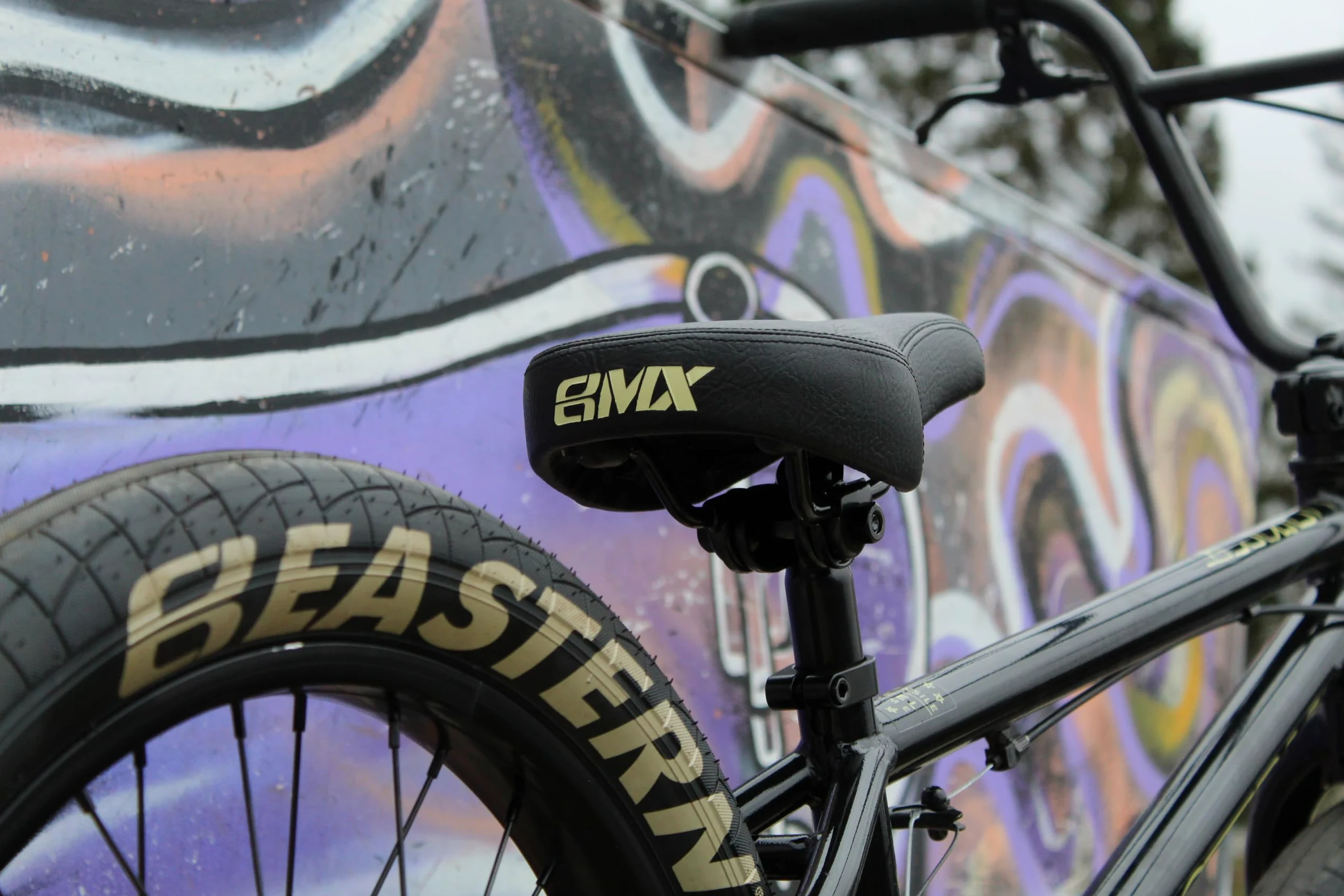 Eastern Bikes Cobra 20-Inch BMX Bike - Leggera bici da freestyle per principianti e adolescenti, dai 13 anni in su, pedivelle Cromo a 3 pezzi, colori diversi per la strada, la città e il parco.