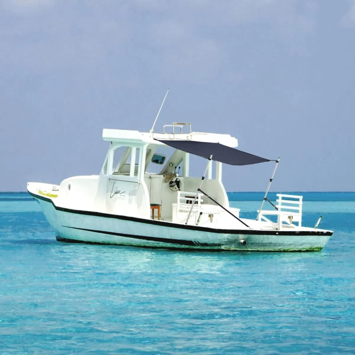 Tendalino Estensione a T, Ombreggiatura per Barche, 170x170x(115-183) cm, Poliestere 600D con Rivestimento PU e Struttura in Alluminio, Accessorio per Tendalino Bimini e Coperture Barca da Pesca e da