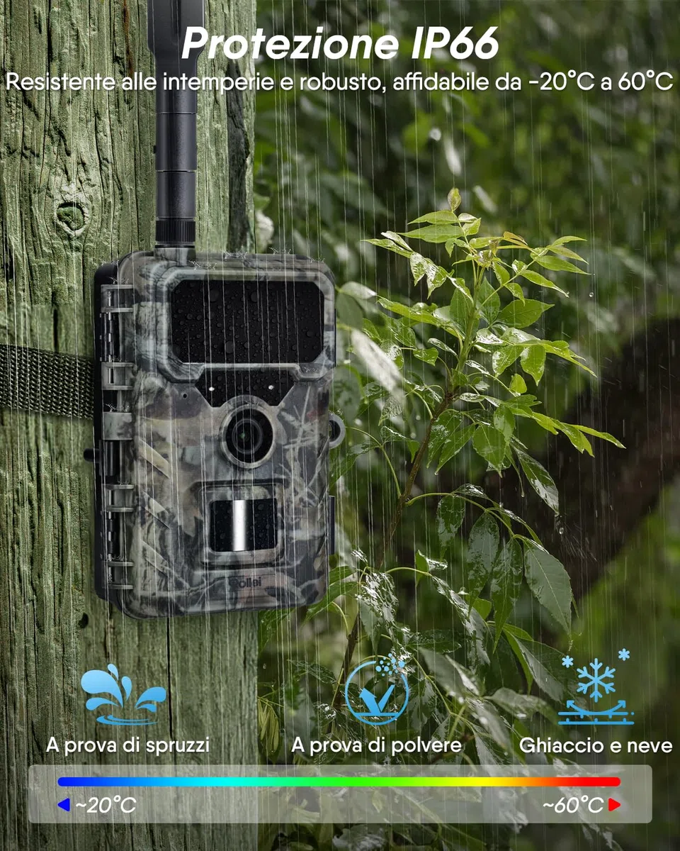 Rollei Fototrappola con Sim 4G, 4K Fototrappola Notturna con App e Sensore di Movimento Telecamera Caccia Notturna Infrarossi con Batteria e Scheda 32GB IP66, Fototrappola-4G-Sim-Wildlife-Camera