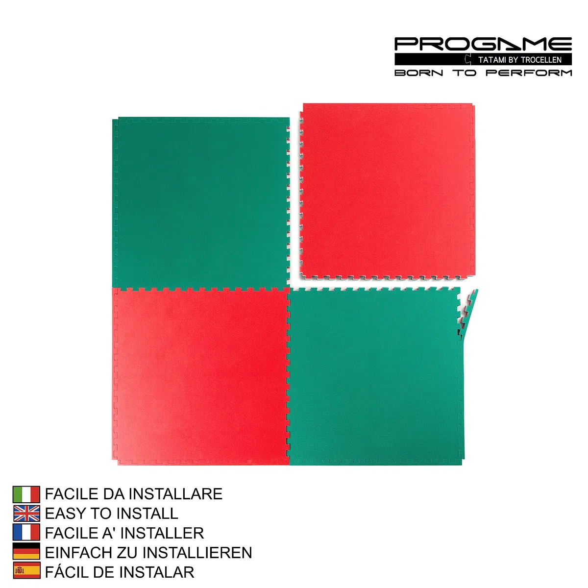 PROGAME Kit 4 pezzi Tatami Palestra 100x100x4 cm [Superficie Totale 200x200 cm] Performance PLUS Home Verde/Rosso. Tappeto Arti Marziali Professionale