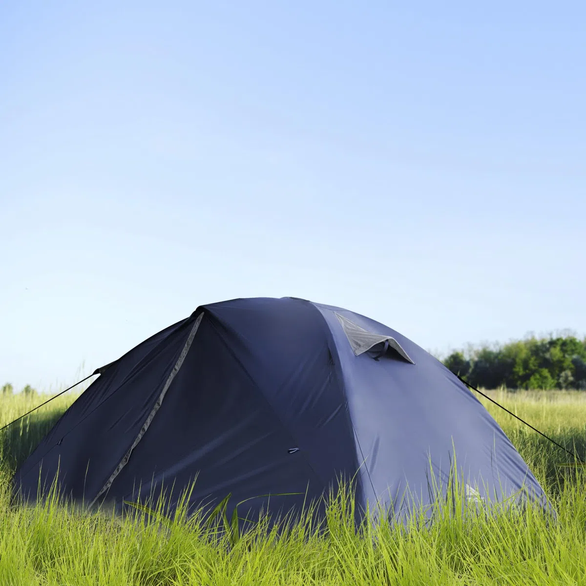 Forceatt Tenda Campeggio 2-4 Persone, Impermeabile Antivento Tenda a Due Porte, Ultra-Leggero Facile da Installare Tende da Campeggio, per Campeggio, Spiaggia, Arrampicata, Escursionismo