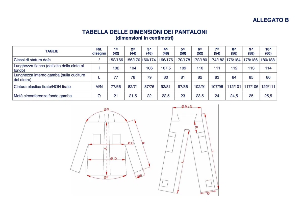 ALGI Completo Uniforme Mimetico da Combattimento Antistrappo Vegetato Trattato IR (MOD. Soldato Futuro)