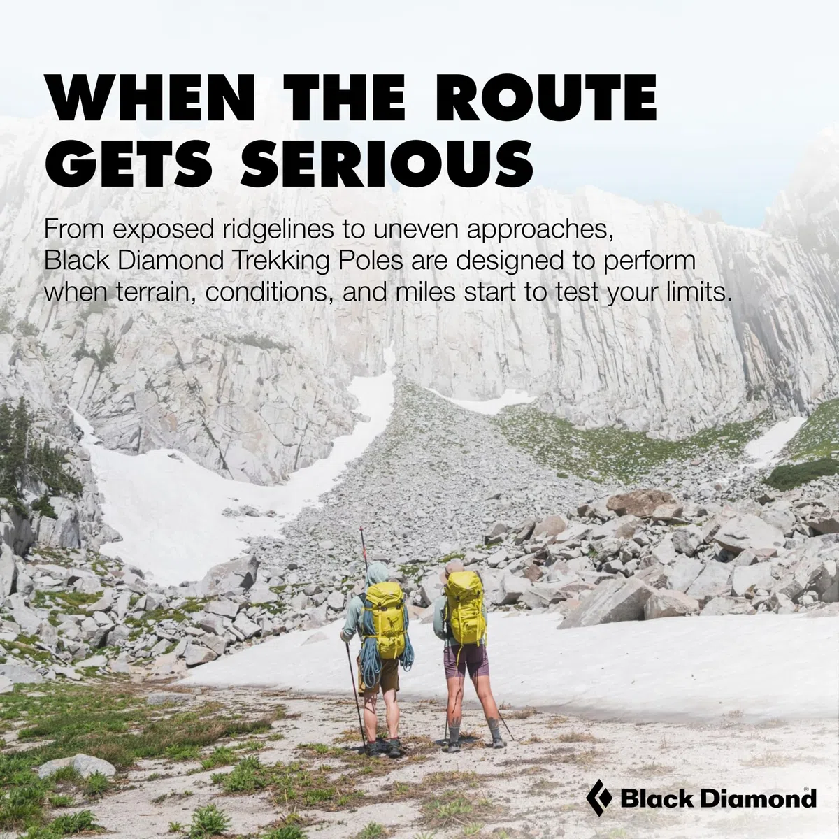 Black Diamond Trail Cork Trekking Poles - Bastone da Trekking Unisex, per Adulti