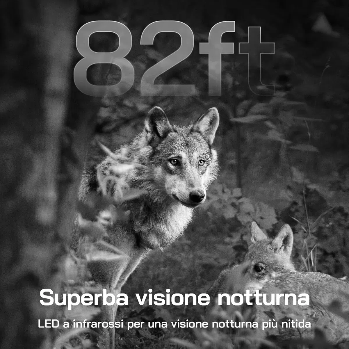 WOLFANG Fototrappola, 4G LTE Fototrappola Solare 2.5K con Scheda SIM Preinstallato e SD, Fotocamera con Allarme, Visione Notturna, Angolo 120° 82ft, Tempo di Scatto 0,2s, IP66 Impermeabile, Nero