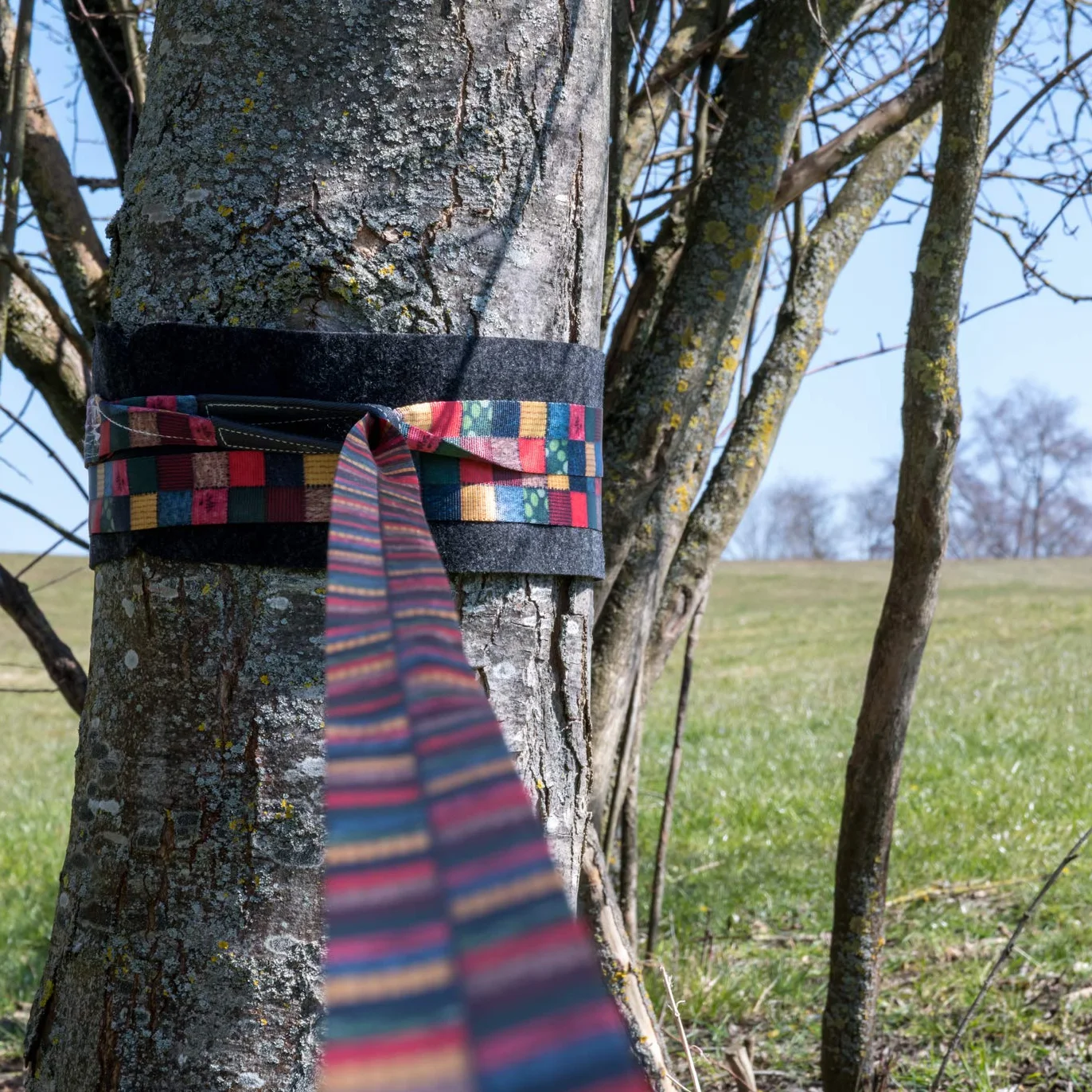 BUZZARD Patchwork Set Slackline - Colorato, spontaneo e Pieno di Buon Umore