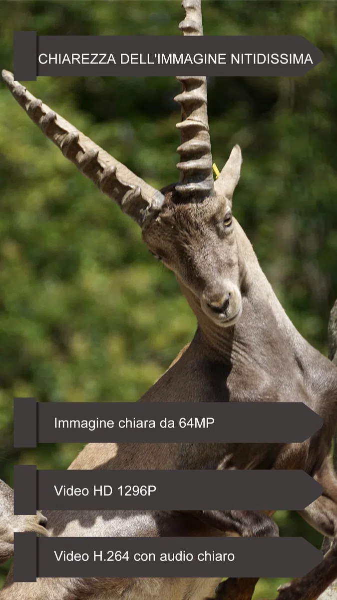 GardePro E6P Max Fotocamera da Caccia, WIFI, Batteria Ricaricabile da 8000mAh, Scheda SD Integrata, 64MP 1296P, Ampio Campo Visivo di 110°, Animali Movimento Attivato Visione Notturna Esterna