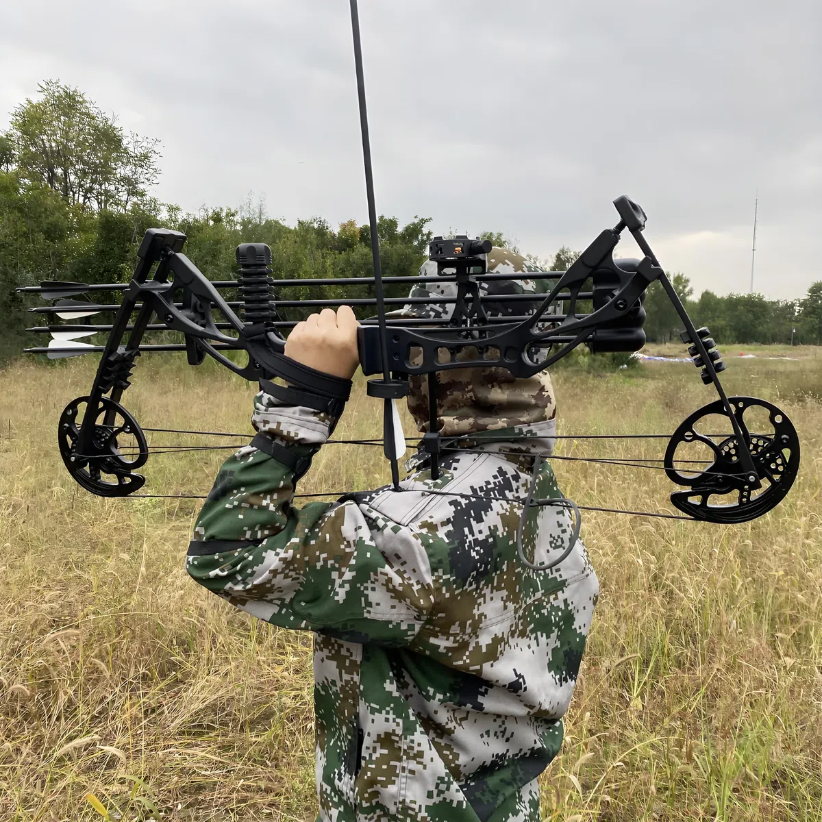 Arco Compound Set 0-70 LBS, Lunghezza di Trazione 16,5"-30", IBO 325 fps, Arco Compound da Caccia con Accessori per Caccia Tiro con l'Arco Pratica e Tiro ad Obiettivo