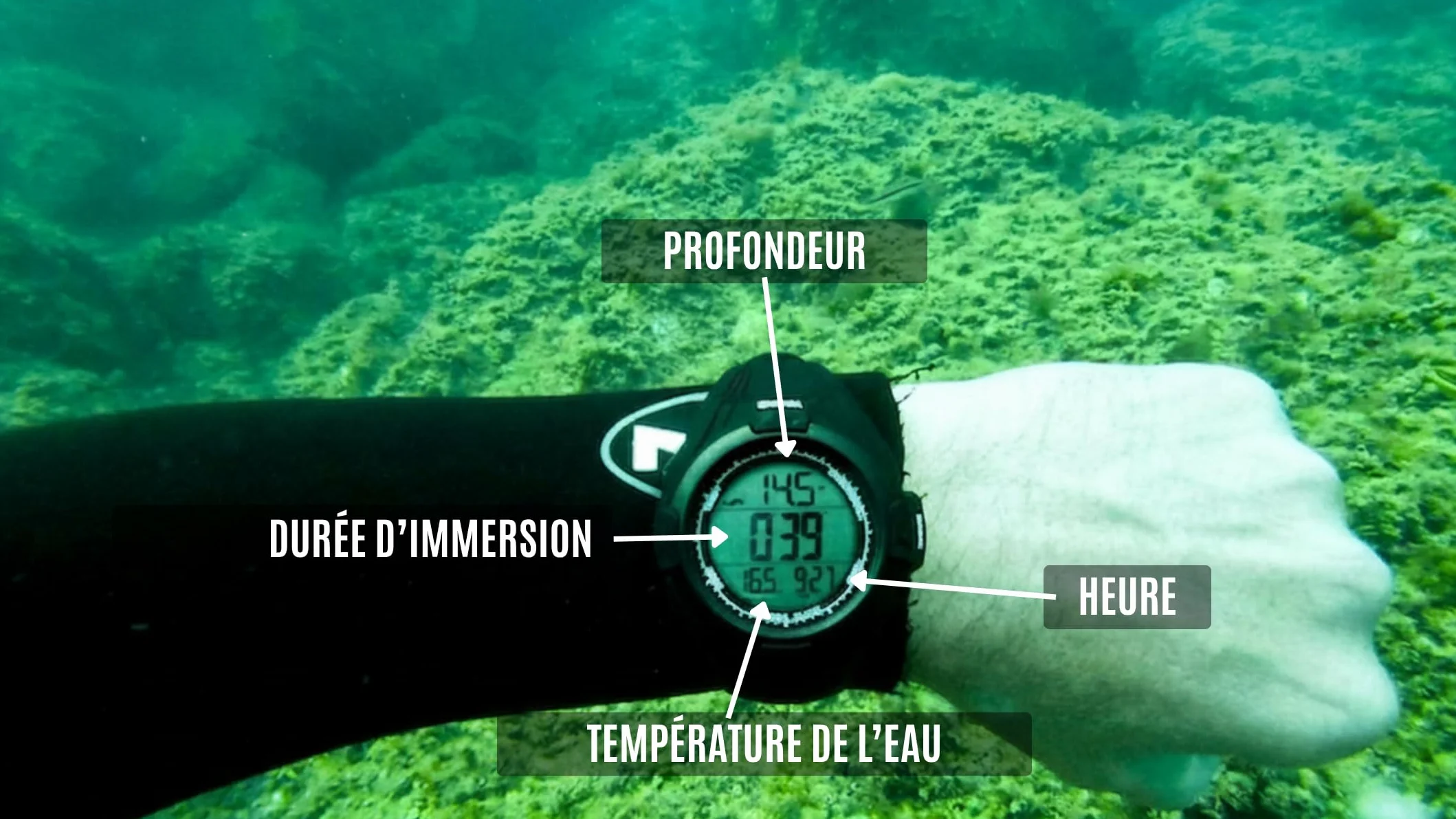 DiVONEA | Orologio da Apnea, Pesca subacquea e Sub