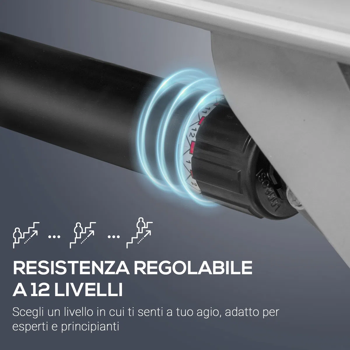HOMCOM vogatore Professionale Magnetica per Casa a 12 Resistenze per Allenamento con Monitor Digitale e Struttura Scorrevole in Alluminio, Acciaio e ABS, 160x61x50cm, Grigio e Nero