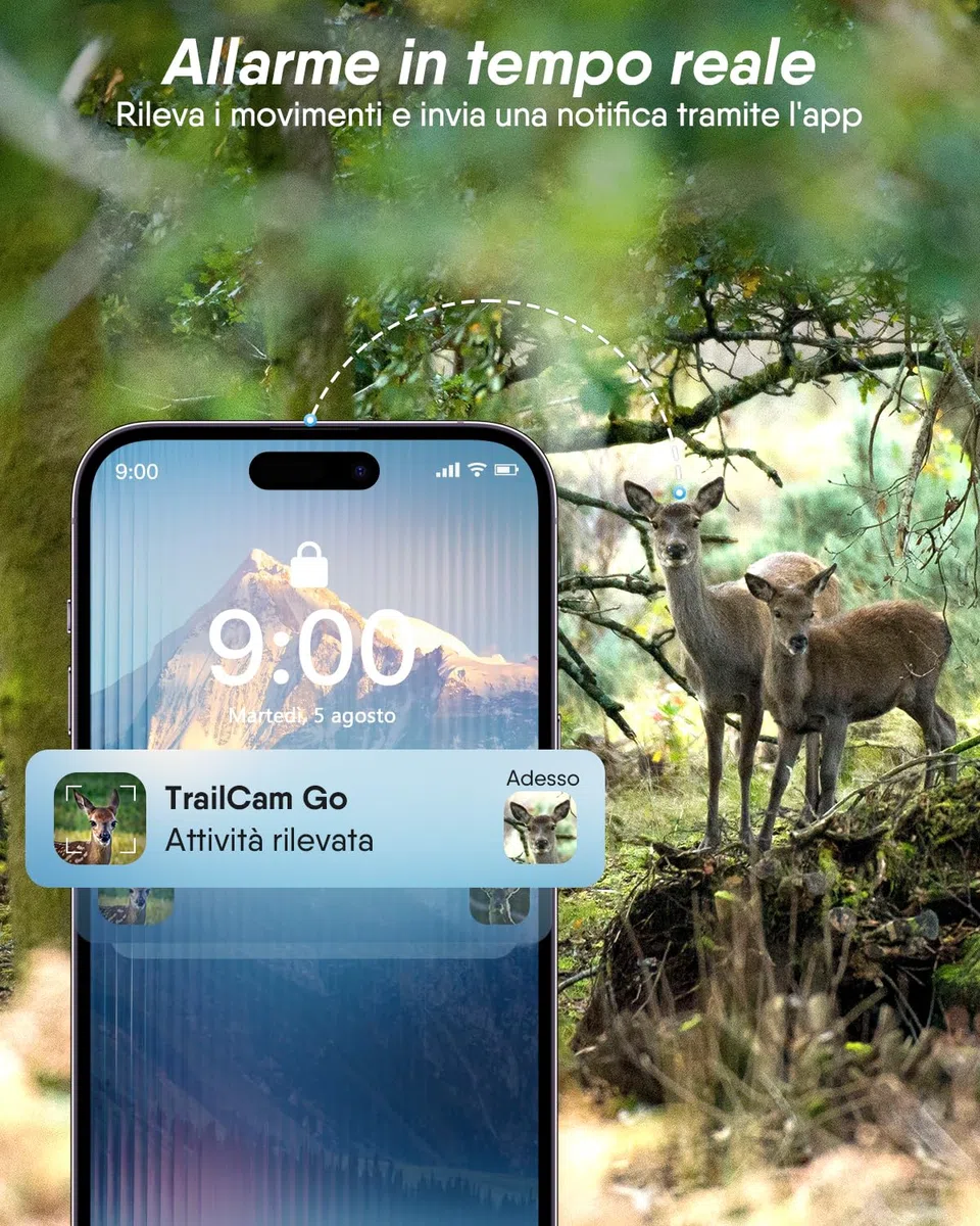 Rollei Fototrappola con Sim 4G, 4K Fototrappola Notturna con App e Sensore di Movimento Telecamera Caccia Notturna Infrarossi con Batteria e Scheda 32GB IP66, Fototrappola-4G-Sim-Wildlife-Camera