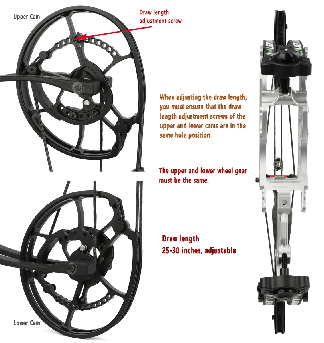 17" kit arco compound, 30~70lbs regolabile, arco steelball, doppio uso arco da caccia,RH&LH, può sparare freccia e palla d'acciaio, per tiro con l'arco da caccia