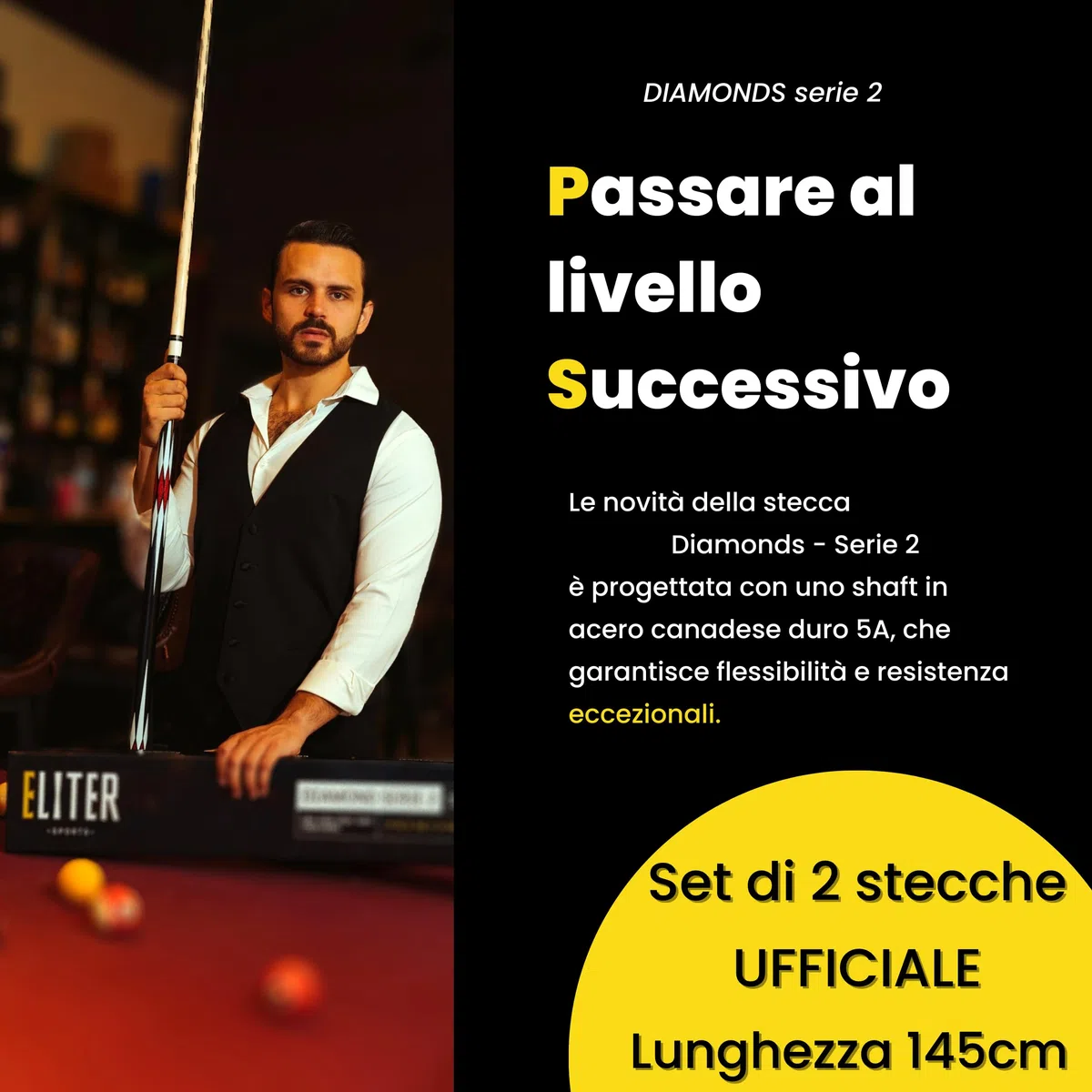 Set di 2 Stecche Biliardo Professionali- Stecca biliardo in acero massiccio - Morbida e resistente per un migliore controllo e precisione - Design originale