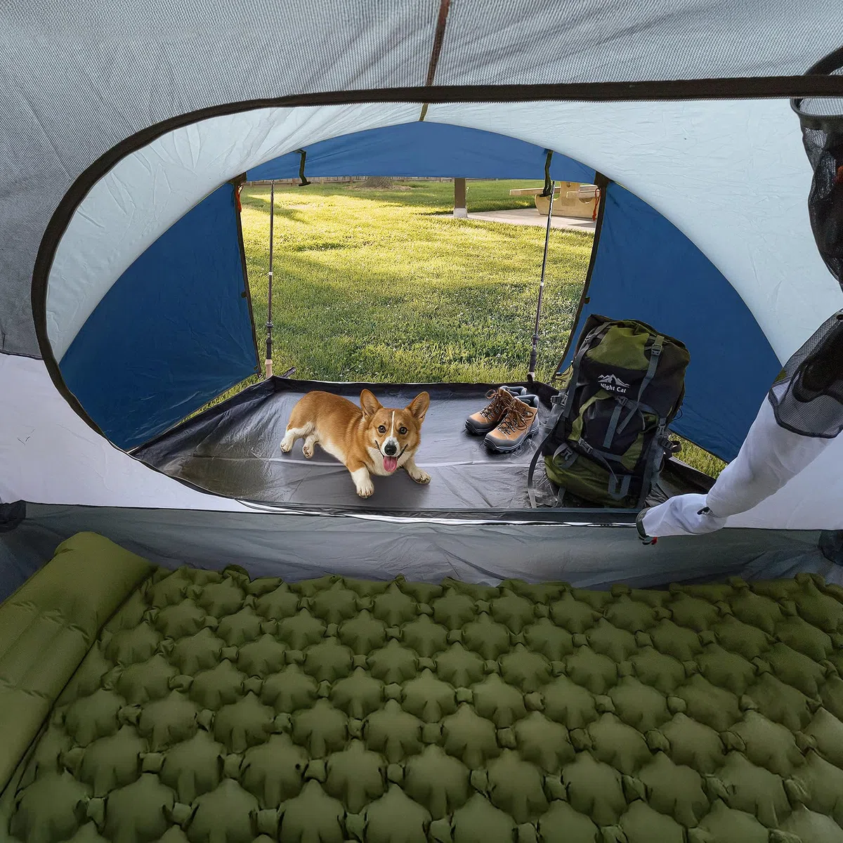 Night Cat Tenda da Campeggio 3 4 Posti: Tenda Pop Up Impermeabile Automatica Facile da Installare per Familiare Campeggio Picnic Parco Giardino