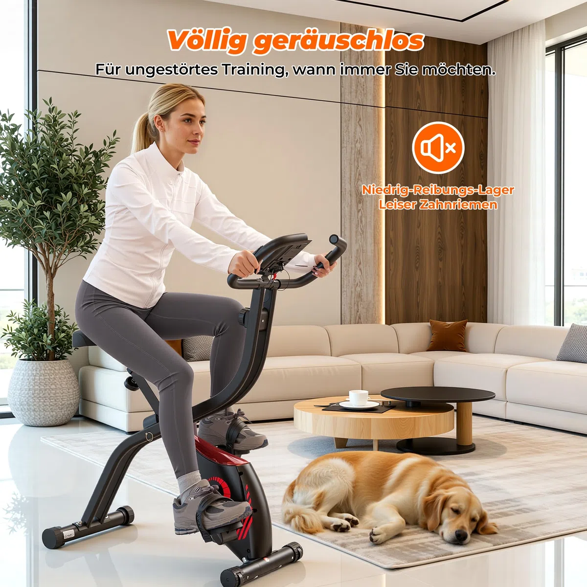 Cyclette pieghevole domestica: 16 livelli magnetici, monitor LCD, sensore cardiaco manuale, sella imbottita, capacità 120 kg. Perfetta per cardio a casa
