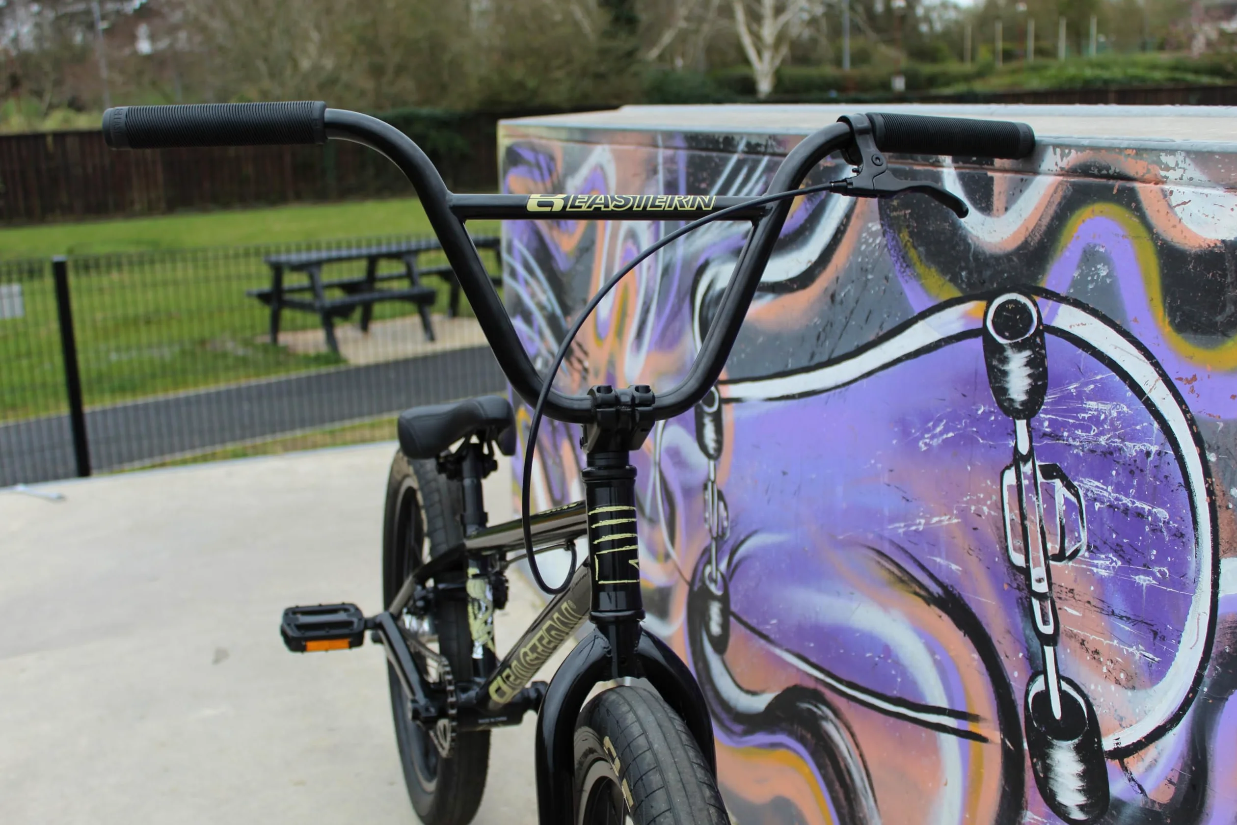 Eastern Bikes Cobra 20-Inch BMX Bike - Leggera bici da freestyle per principianti e adolescenti, dai 13 anni in su, pedivelle Cromo a 3 pezzi, colori diversi per la strada, la città e il parco.