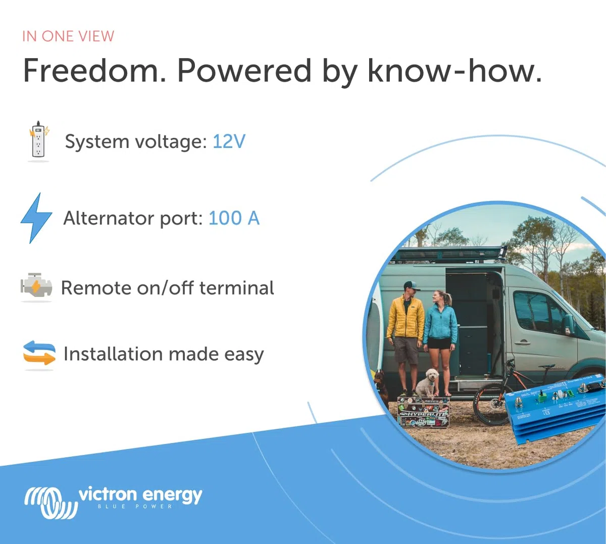 Victron Energy Sistema di Gestione Batteria, Smart BMS CL 12-100