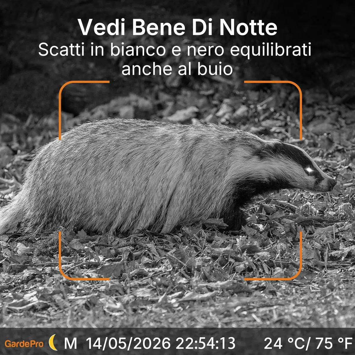 GardePro X70 Pro Fototrappola WiFi 4G LTE con Streaming Live e GPS, Batteria Ricaricabile da 7800 mAh, Scheda SD da 64 GB, 48MP 1296P Fototrappola Notturna, IP66 Foto Trappola per Animali