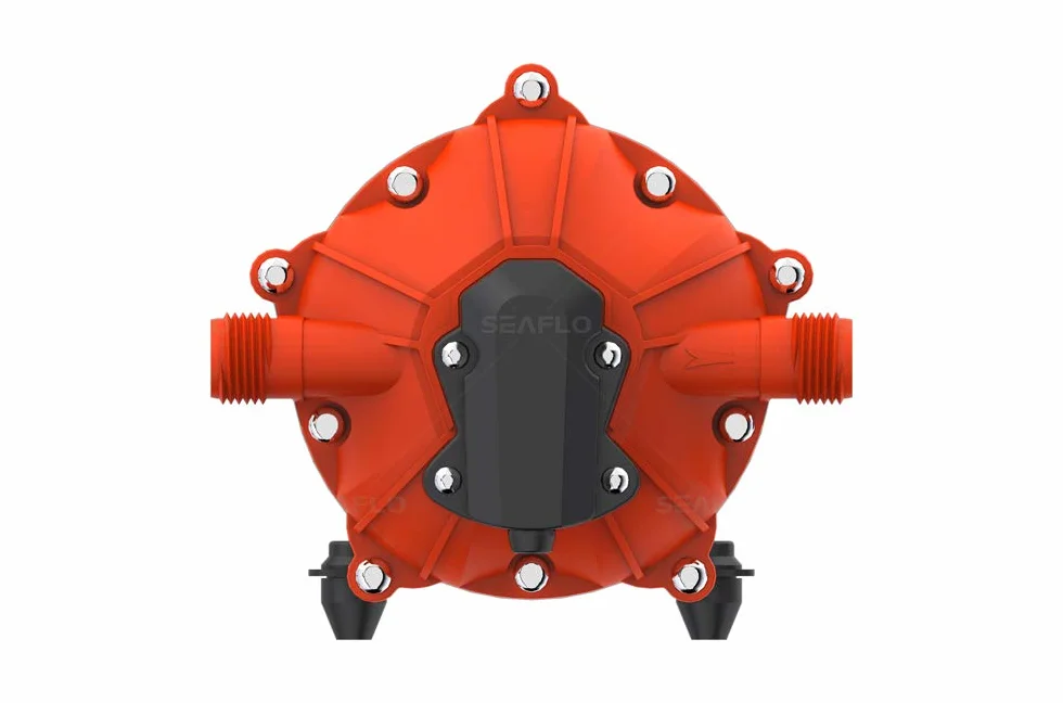 Seaflo Kit pompa di lavaggio del ponte di lavaggio 70 PSI 12 V 5,5 GPM per roulotte, camper, barca, yacht