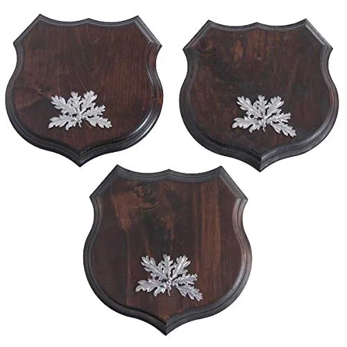 GTK – 3 X scudo di maialino selvatico a forma di scudo tropicale, AF 19 cm, con copertina in foglia di quercia, colore: argento