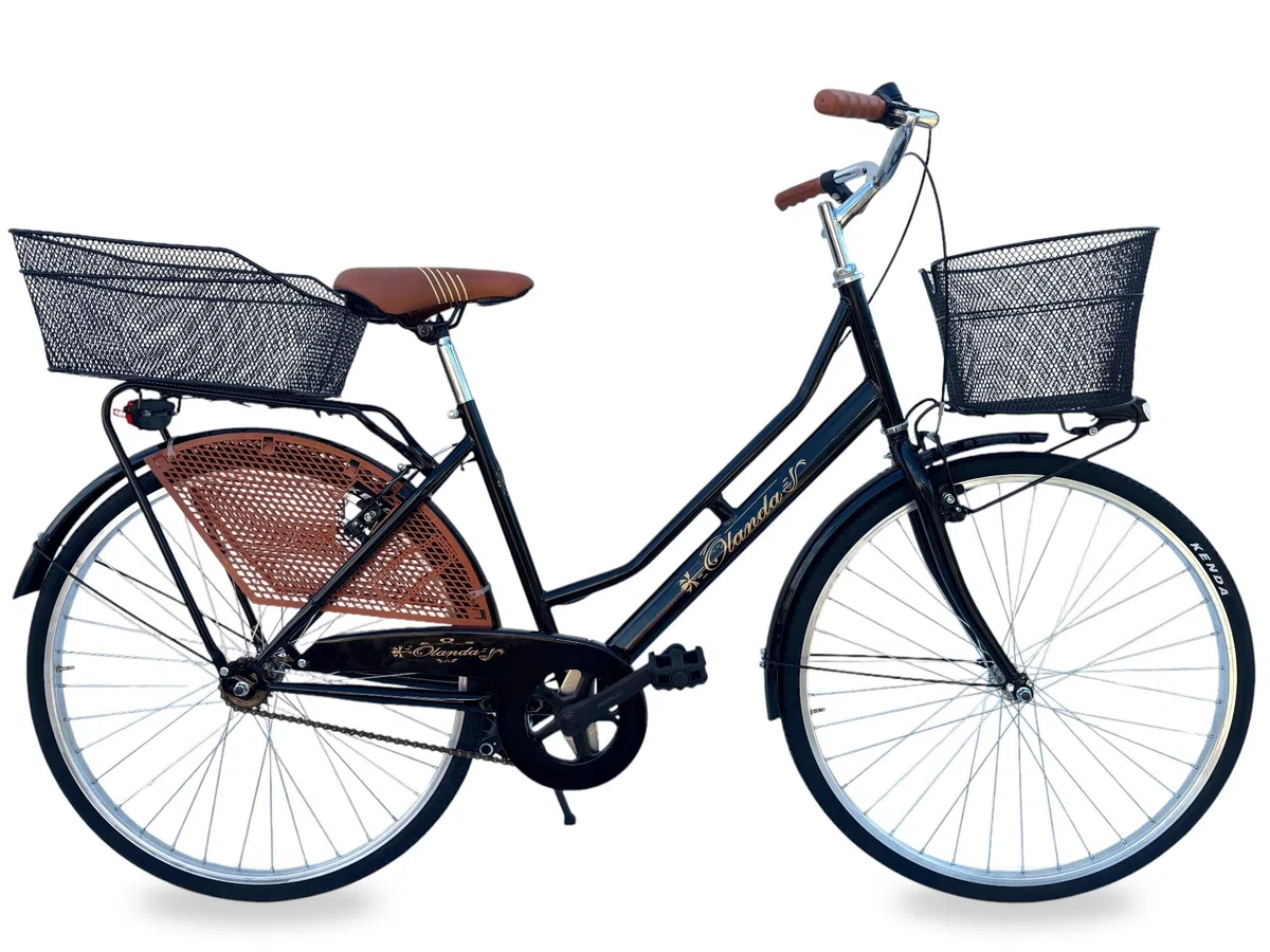 MADICKS Bicicletta Donna da Passeggio Olanda Misura 26 Bici da città Vintage retrò con Cestino anteriore e posteriore Nero