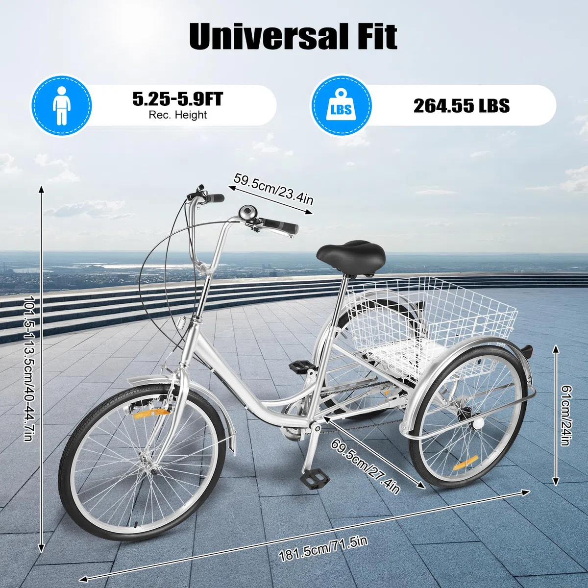 Triciclo per adulti, 24 pollici, 3 ruote per adulti, Shimano 6 marce Cruise Trike Cargo Bike con cestino, bicicletta per sport all'aria aperta e shopping