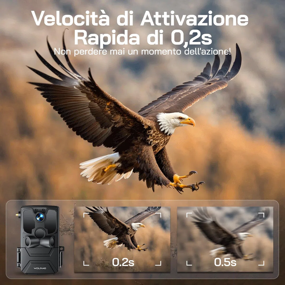 WOLFANG Fototrappola, 4G LTE Fototrappola Solare 2.5K con Scheda SIM Preinstallato e SD, Fotocamera con Allarme, Visione Notturna, Angolo 120° 82ft, Tempo di Scatto 0,2s, IP66 Impermeabile, Nero