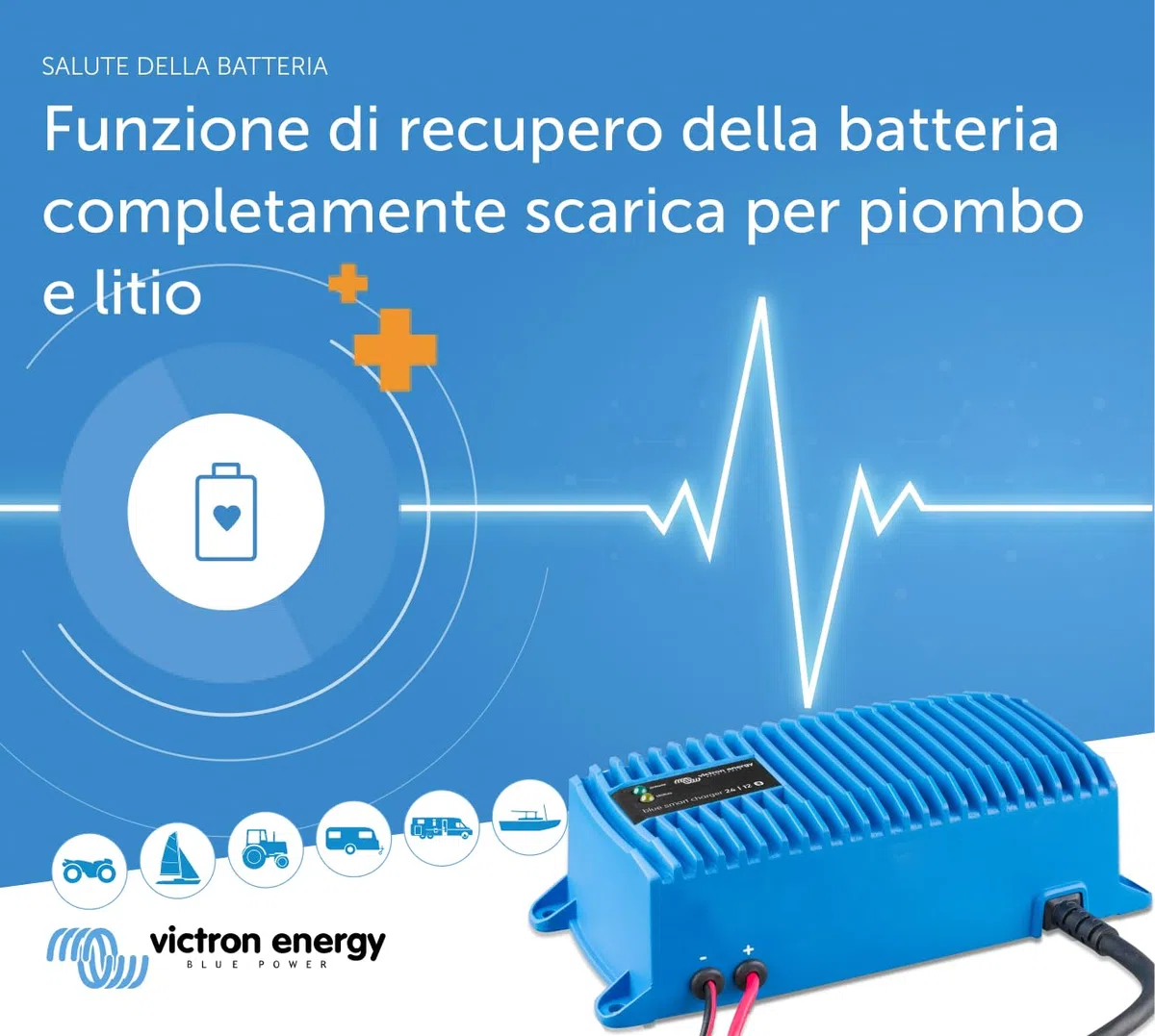 Victron Energy Blue Smart IP67 24-Volt 12 amp 230V Caricatore Batteria Bluetooth (CEE 7/7)