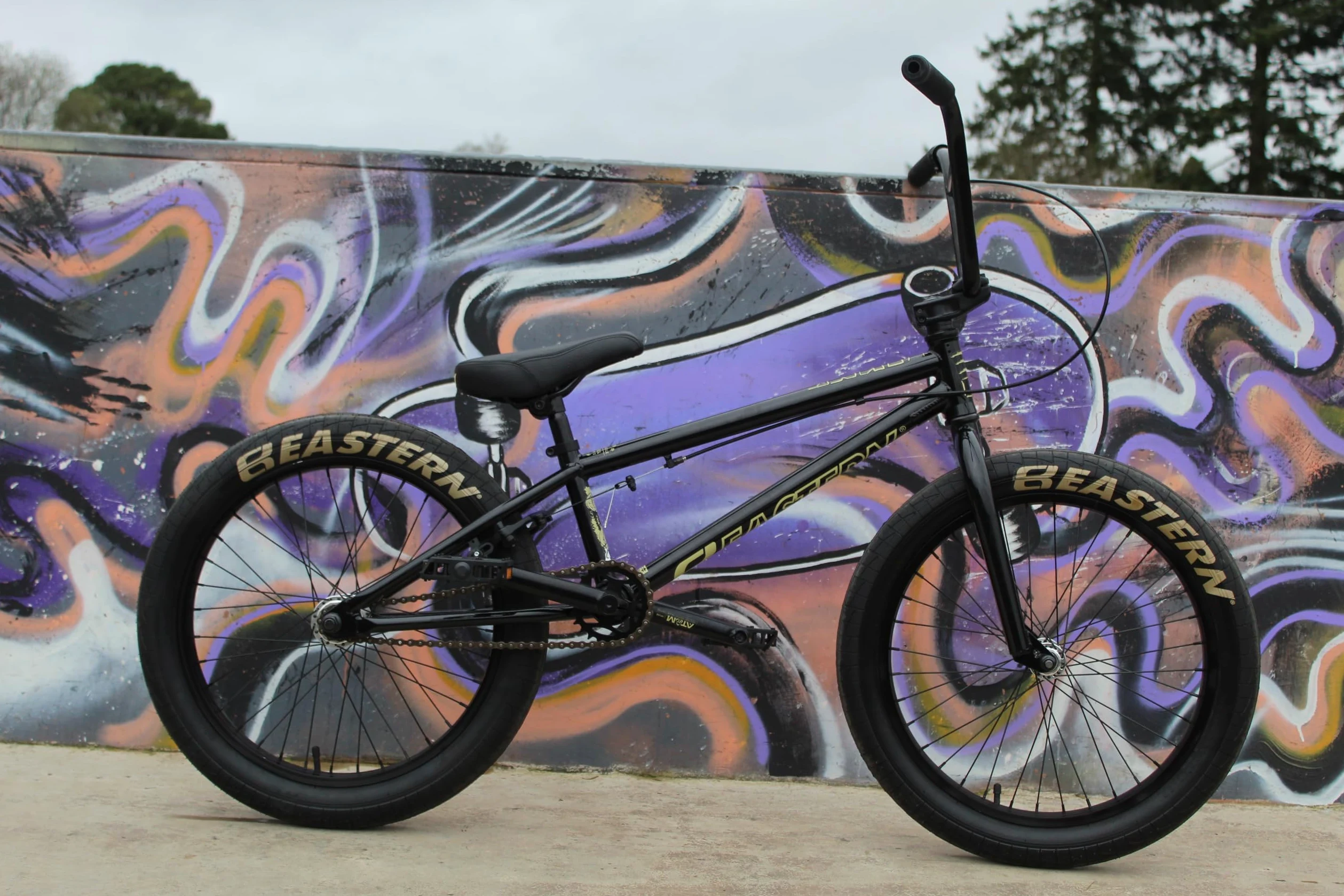 Eastern Bikes Cobra 20-Inch BMX Bike - Leggera bici da freestyle per principianti e adolescenti, dai 13 anni in su, pedivelle Cromo a 3 pezzi, colori diversi per la strada, la città e il parco.