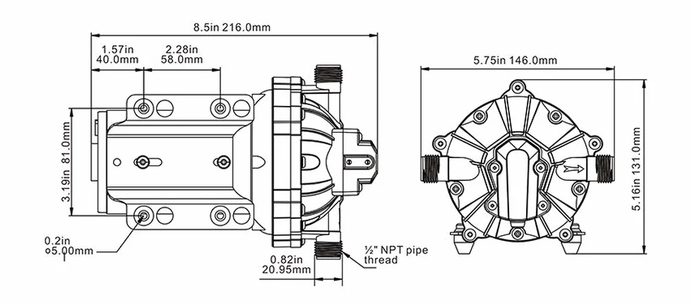 SEAFLO Kit pompa di lavaggio serie 55 - 12V DC 5.5 GPM 70 PSI