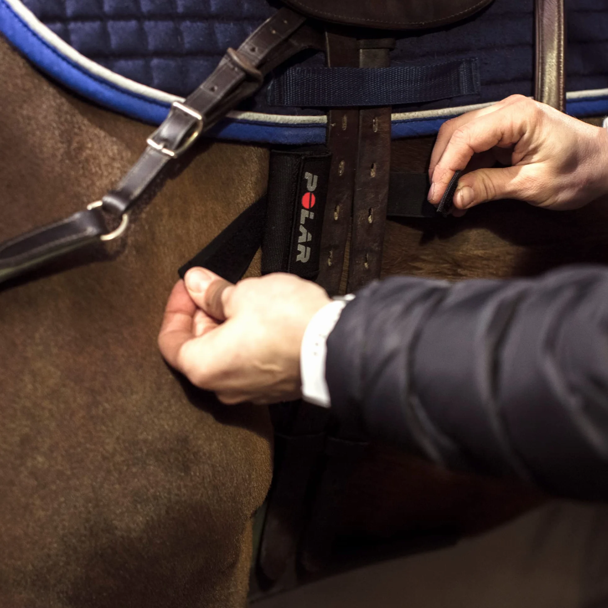Polar Equine Set con Sensore di Frequenza Cardiaca