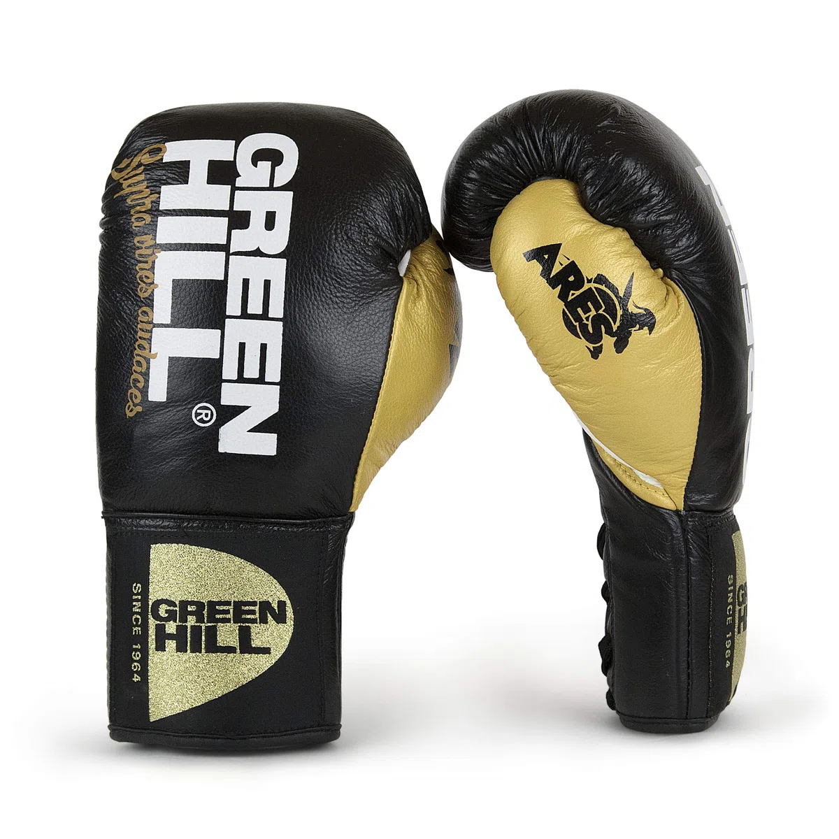 GUANTI DA BOXE PROFESSIONISTI ARES GREEN HILL GUANTONI CRINE LACCI PELLE