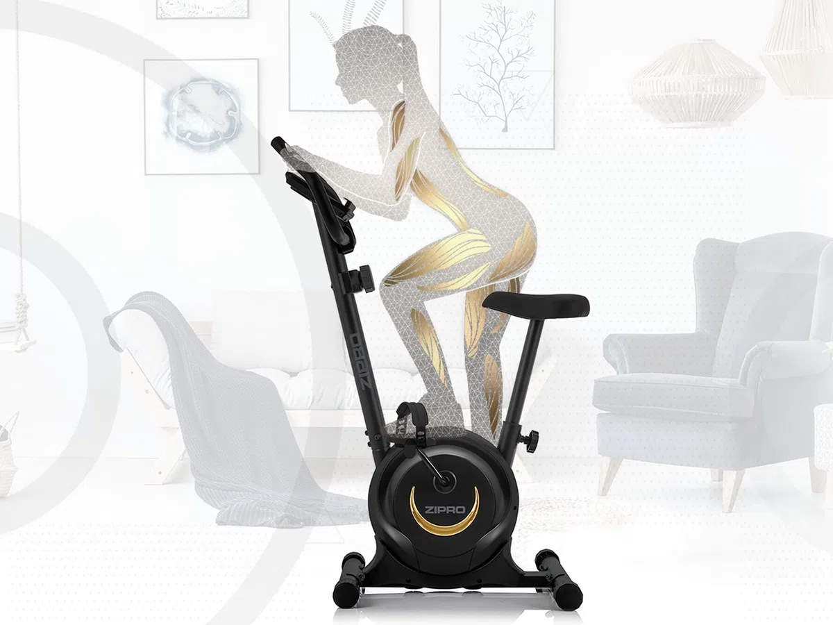 ZIPRO Cyclette da Casa con 8 Livelli di Resistenza Magnetica, Supporto per Smartphone, Schermo LCD, Sella Regolabile, Cyclette per Casa per Più Esercizi, Ciclette Professionale da Camera (One S)