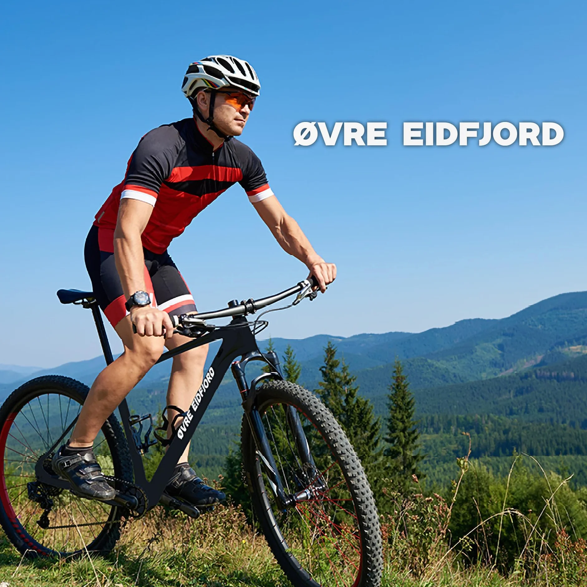 Alpström - Rimorchio per bicicletta 2 in 1, flessibile e versatile, protezione solare, per 1-2 bambini dai 18 mesi in su, ideale per gite